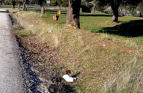 LaMancha